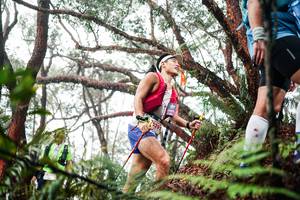 BIB: 
                            <button type="button" onclick="openModal(26298369)" class="btn btn-primary btn-sm float-right btn-popup" data-toggle="modal" data-target=".modal-high-quality">
                        <i class="fas fa-shopping-cart"></i> Add to Cart
                    </button>
                                            <button type="button" onclick="isThisMe(26298369, true)" class="btn btn-success btn-sm float-right btn-popup btn-isme hidden" data-toggle="tooltip" data-placement="bottom" title="นี่คือรูปของคุณใช่ไหม คลิกที่นี่เพื่อเอาเข้าอัลบั้ม">
                        <i class="fas fa-plus"></i> Add to album
                    </button>
                    <button type="button" onclick="isThisMe(26298369, false)" class="btn btn-warning btn-sm float-right btn-popup btn-isnotme hidden">
                        <i class="fas fa-ban"></i> Remove from album
                    </button>